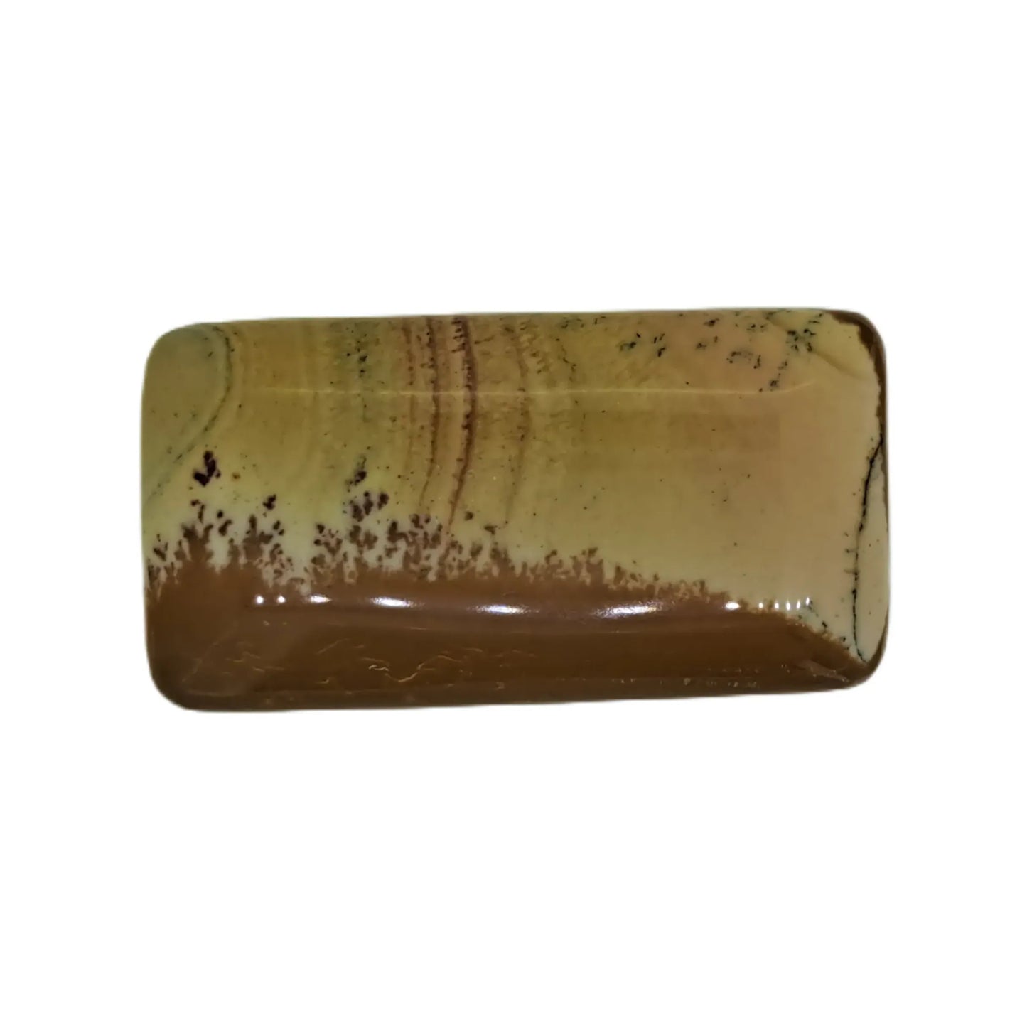Owyhee Picture Jasper Cabochon 60ct