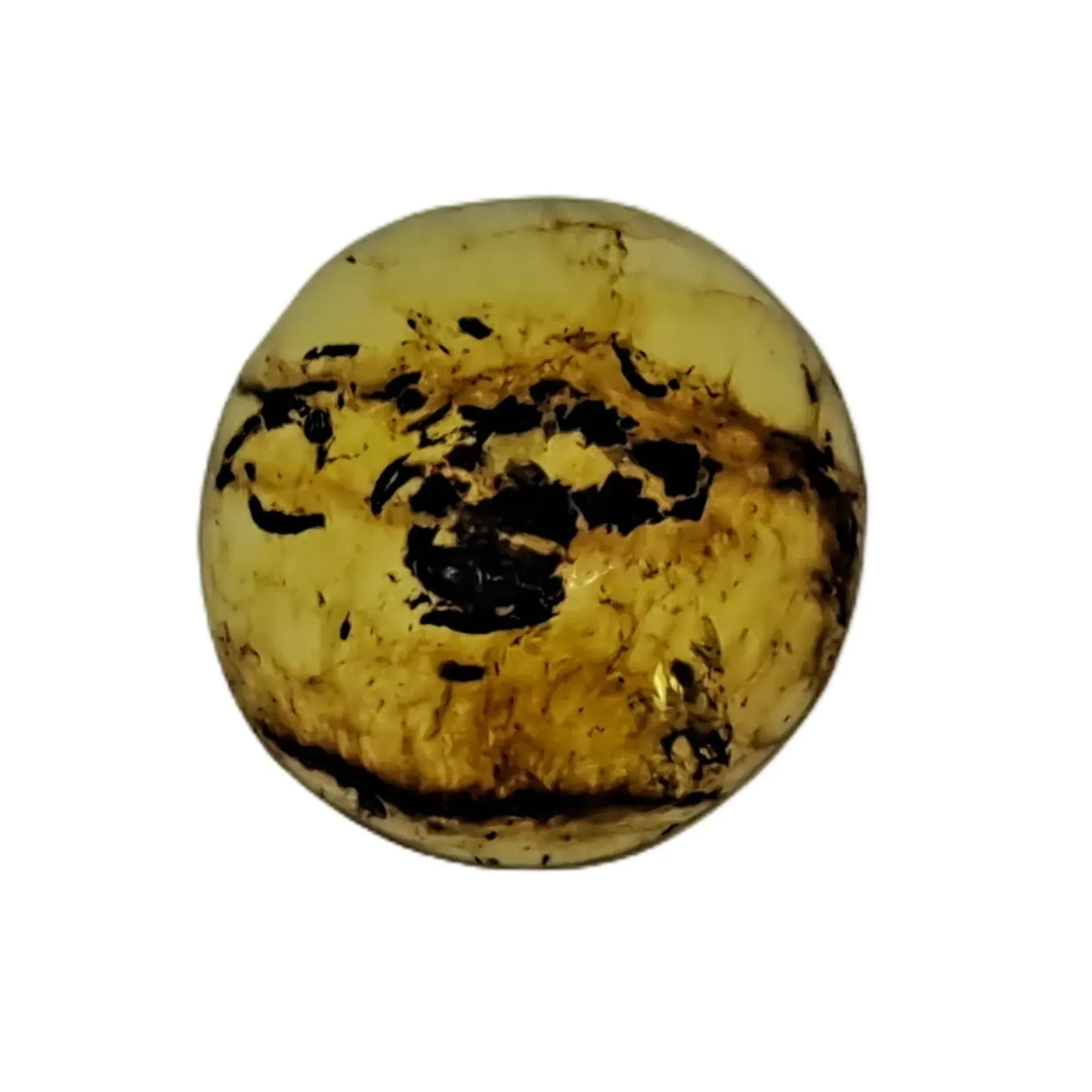 Mexican Amber 'Chiapas' Cabochon 3.4ct