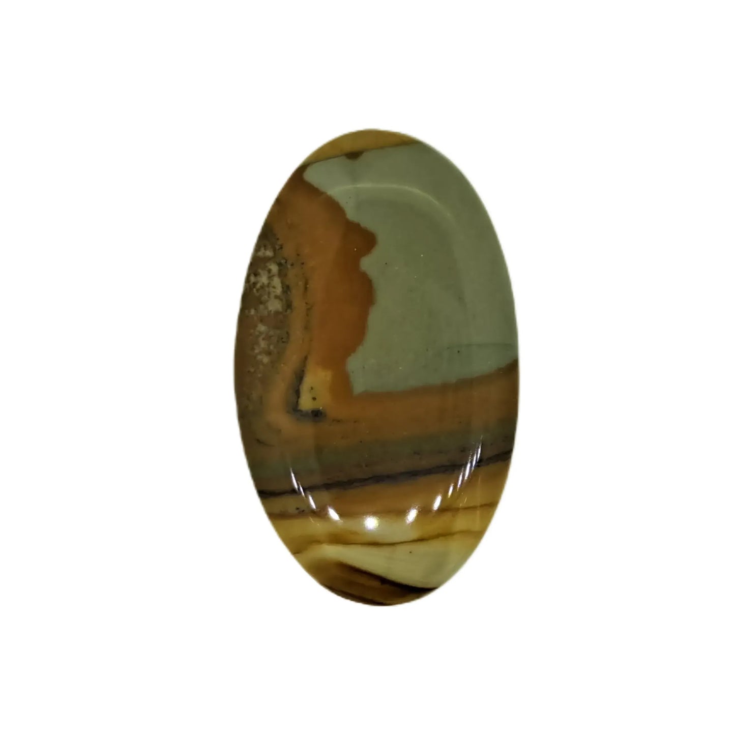 Owyhee Picture Jasper Cabochon 24ct