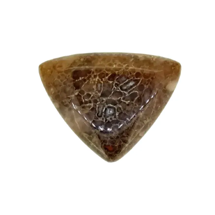 Fossilised Dinosaur Bone Cabochon 32.8ct