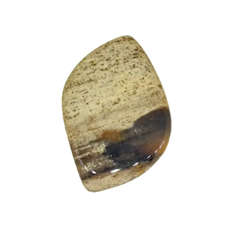 Petrified Wood Cabochon 33.8ct