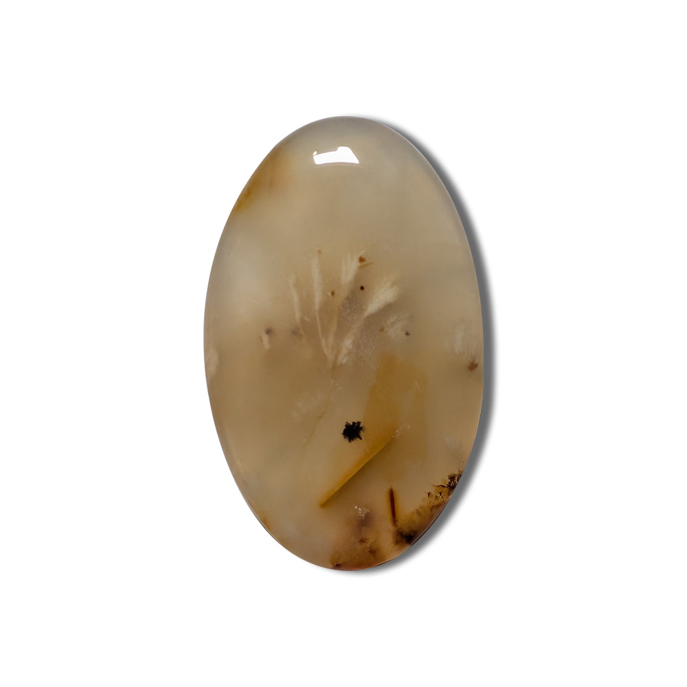 Teeter Ranch Plume Agate Cabochon 59ct