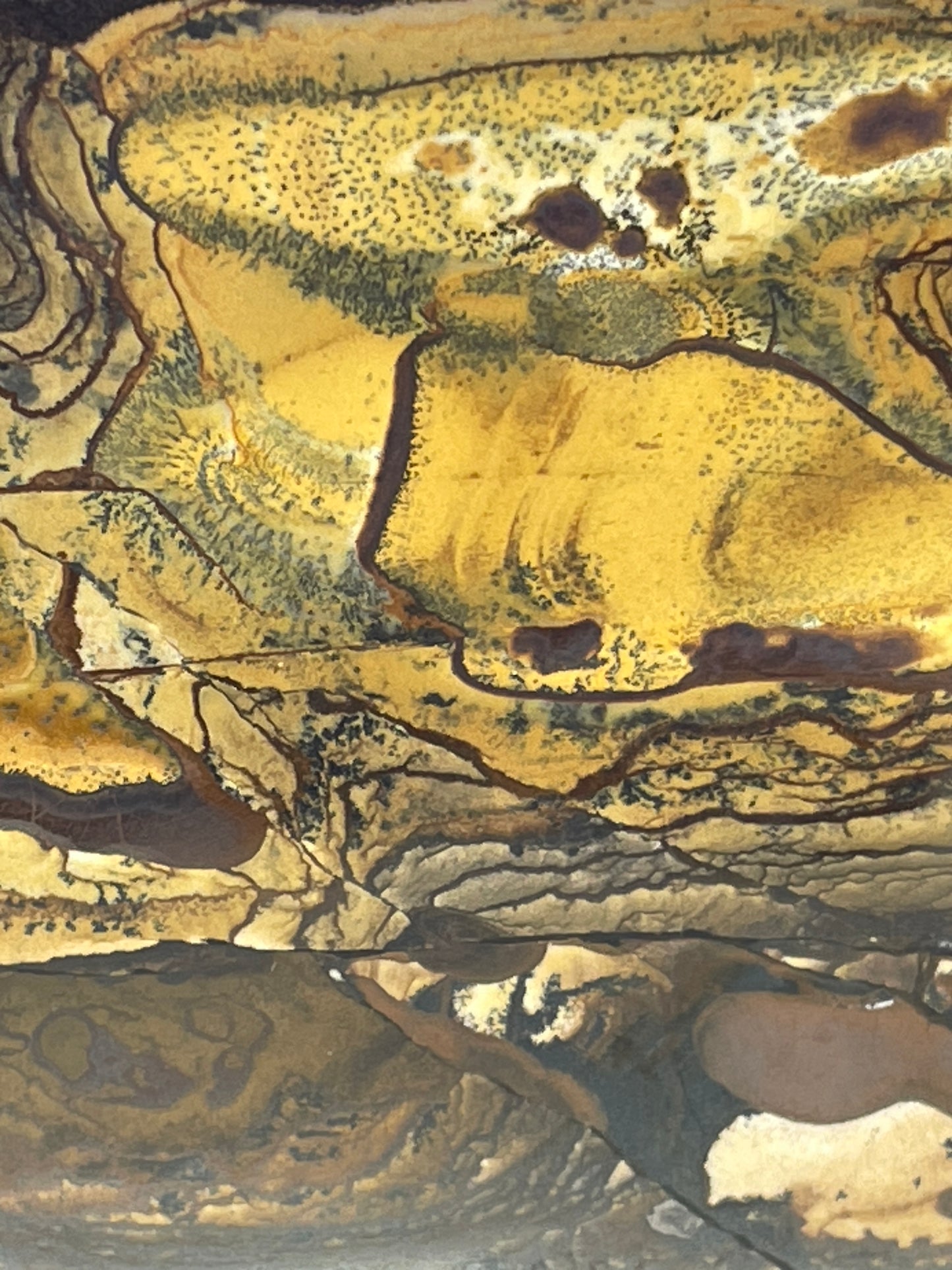 Blue Deschutes Jasper Polished Slab, 120g
