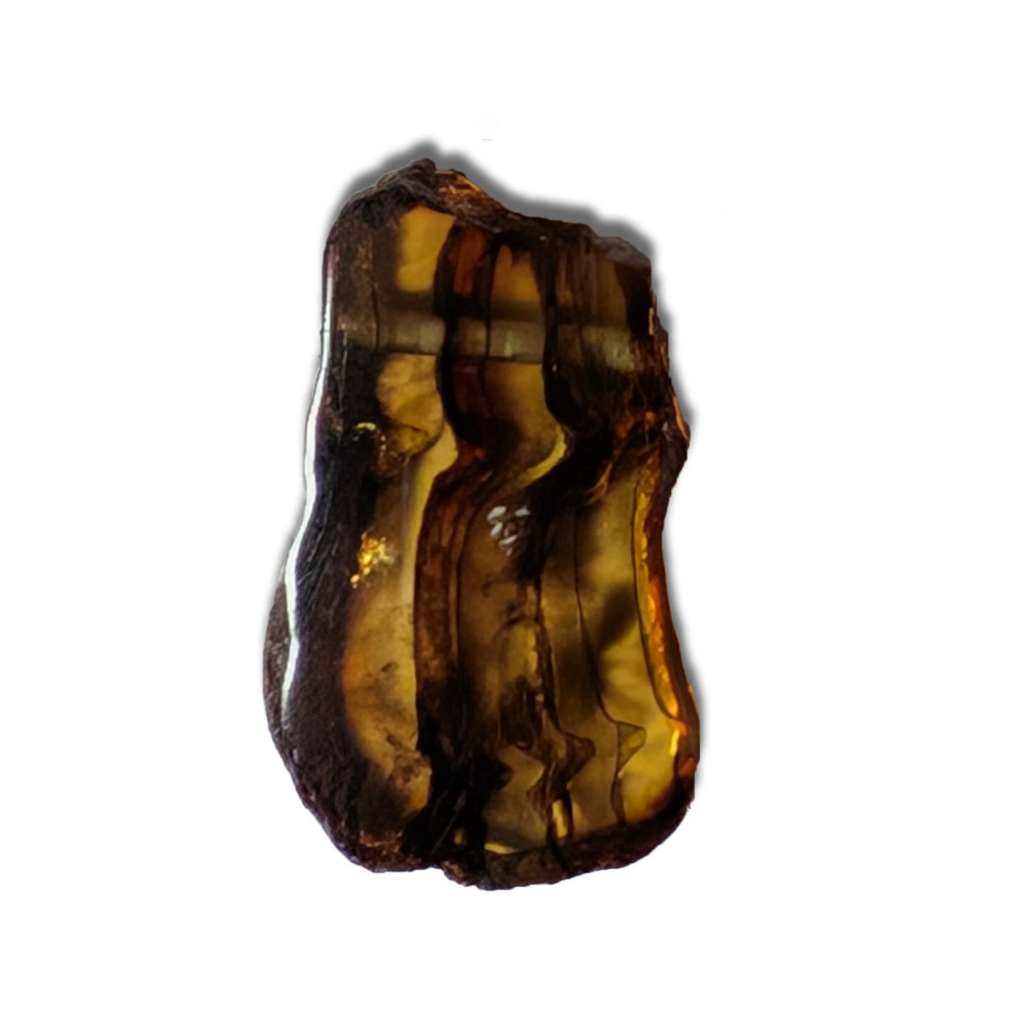 Mexican Amber 'Chiapas' 17ct