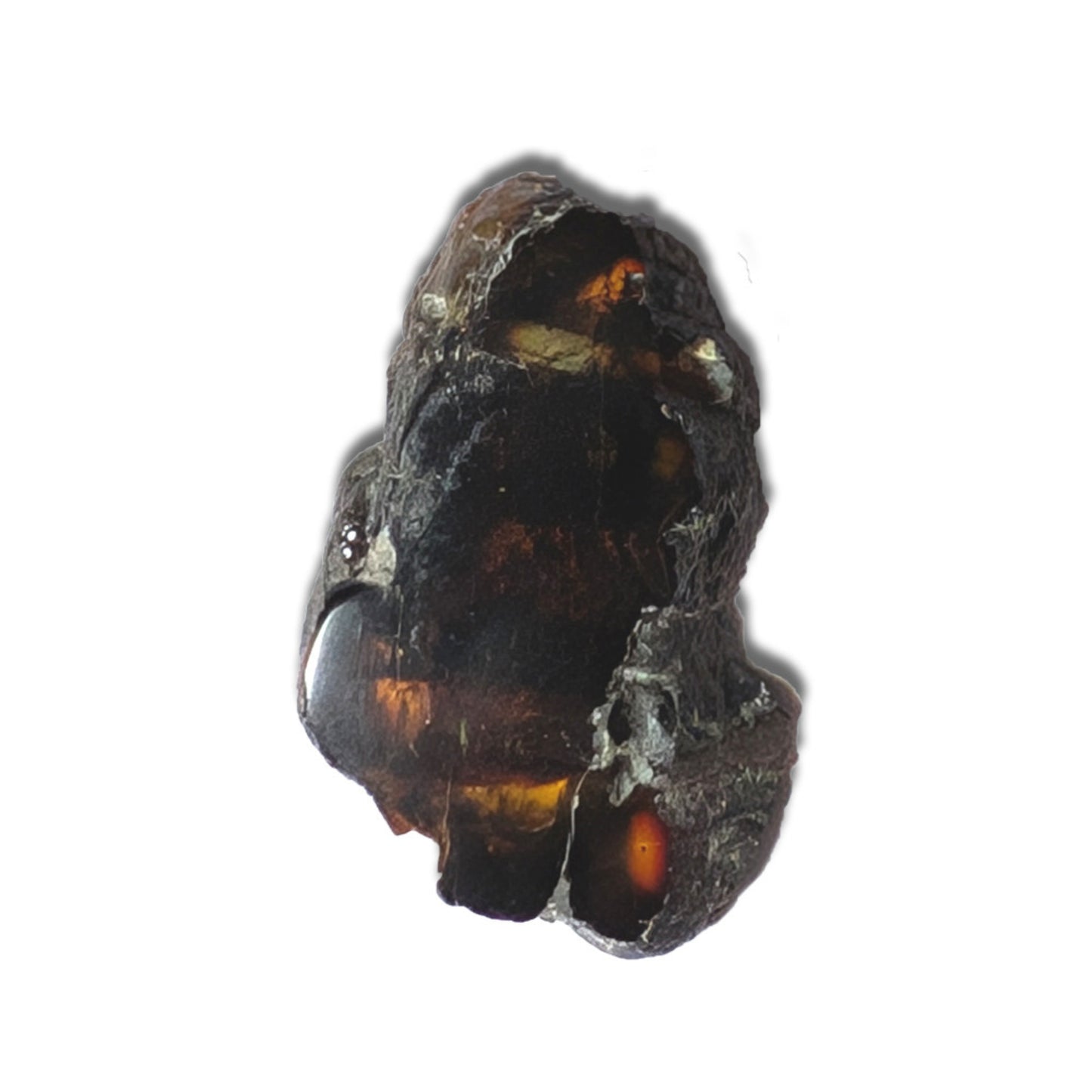 Mexican Amber 'Chiapas' 22.8ct