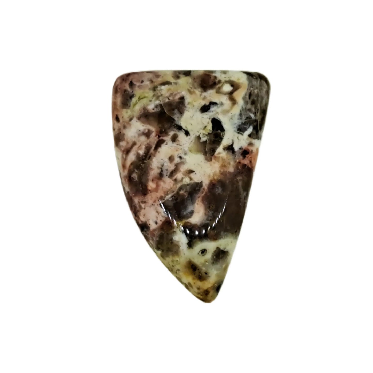 Paisley Agate Cabochon 31ct