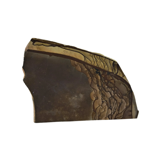 Deschutes Jasper Polished Slab 80g