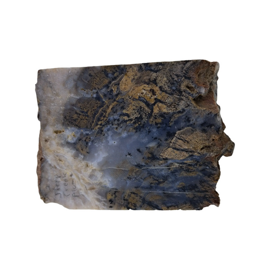 Sheep Creek Plume Agate 360g