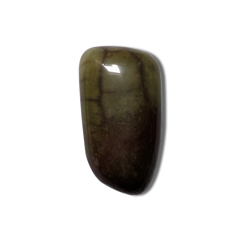 Green Spiderweb Rhyolite Cabochon 22ct